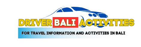 Driver Bali Activities