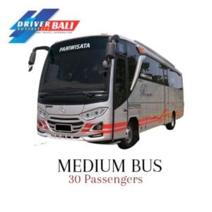 Medium Bus