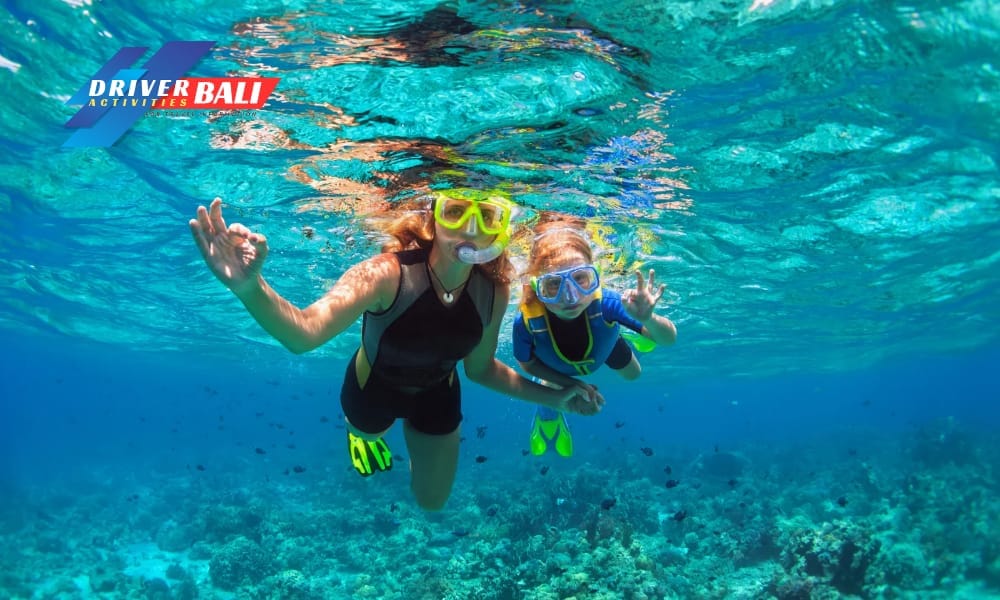 WhatsApp Image 2025-12-27 at 09.52.28 (3)