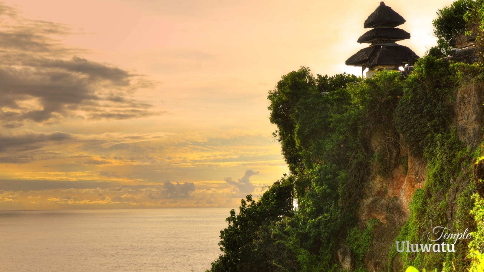 WhatsApp Image 2025-12-27 at 15.54.32