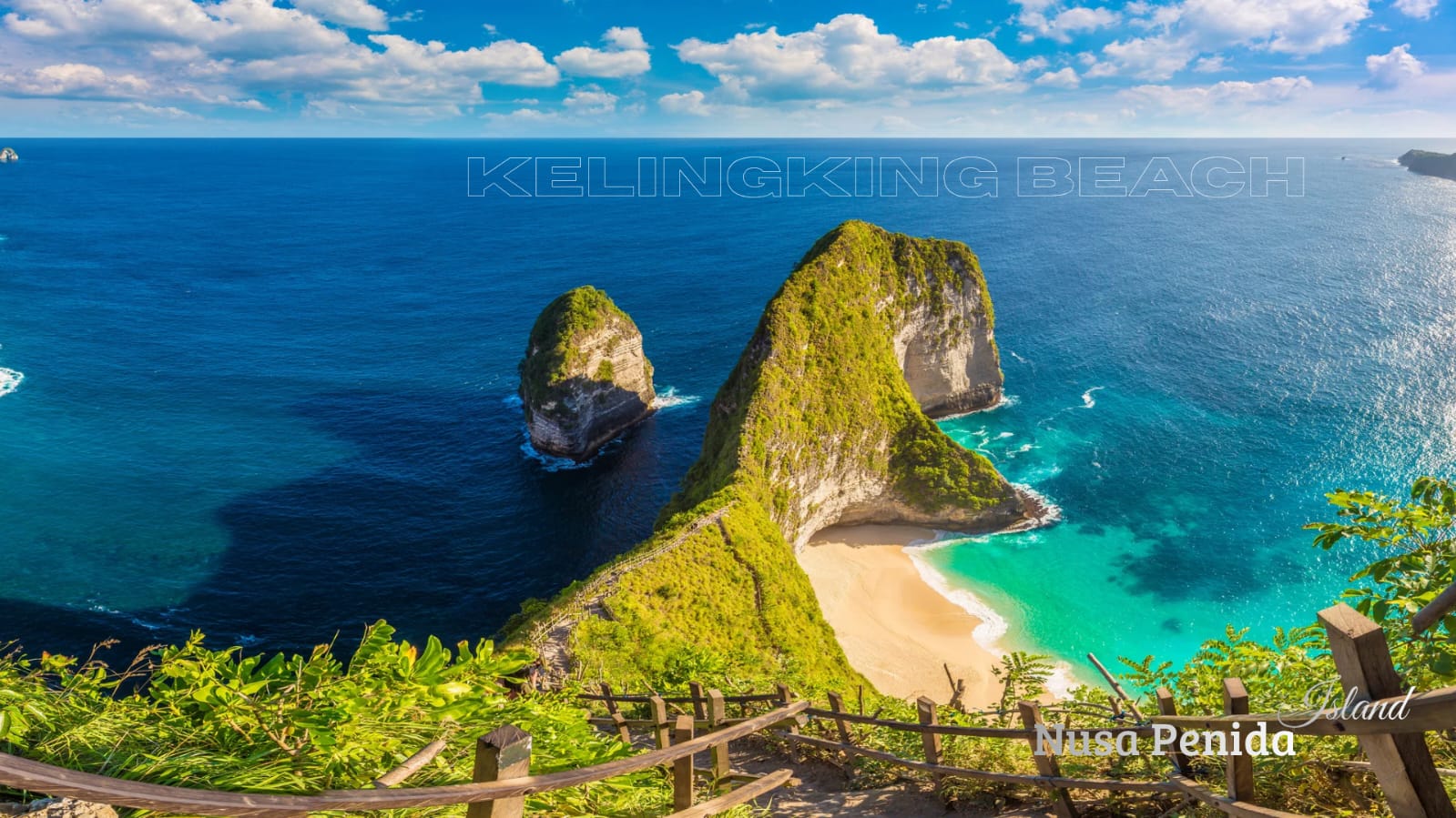 WhatsApp Image 2026-01-03 at 11.06.36