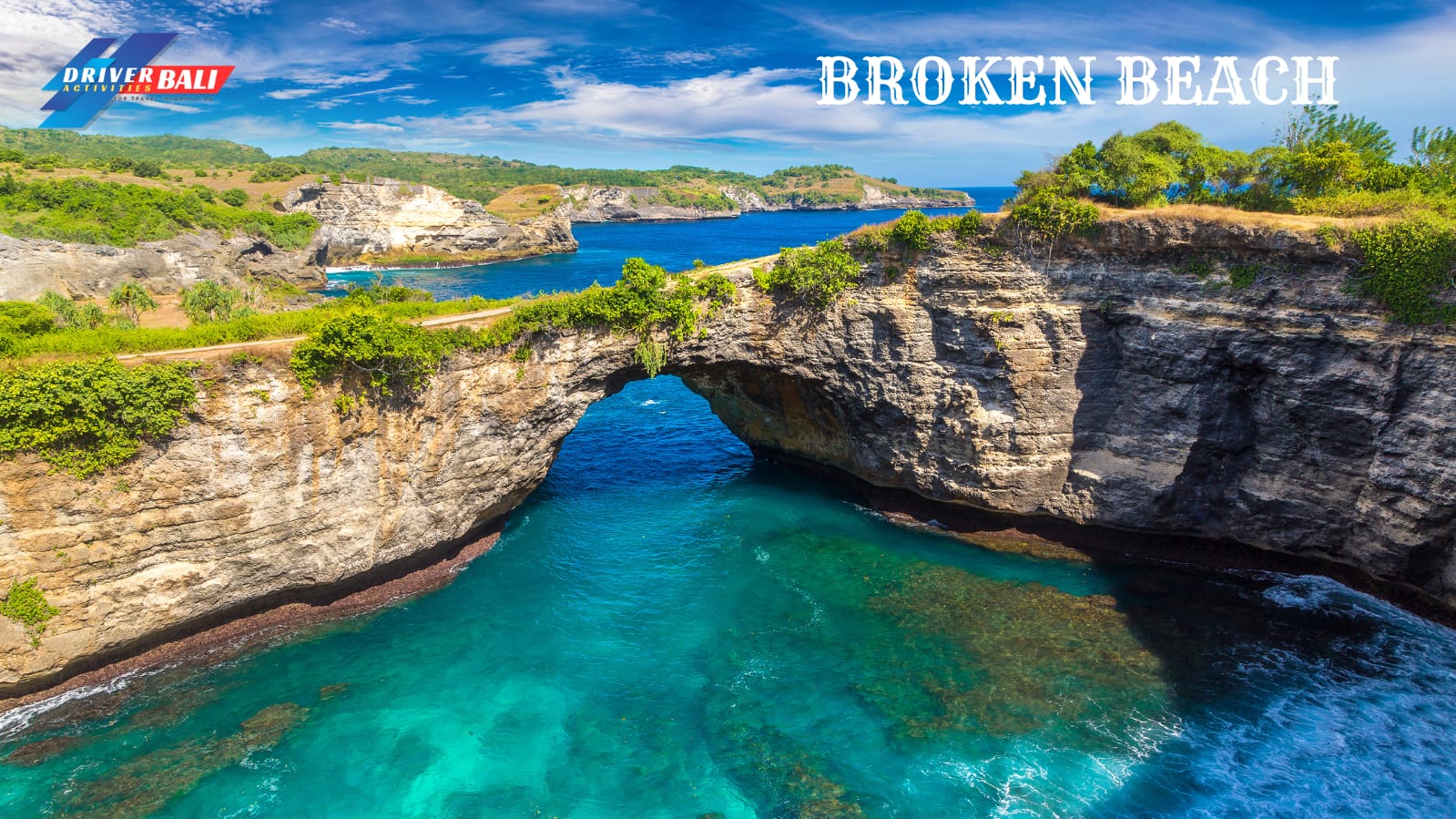 WhatsApp Image 2026-01-23 at 23.11.52 (1)