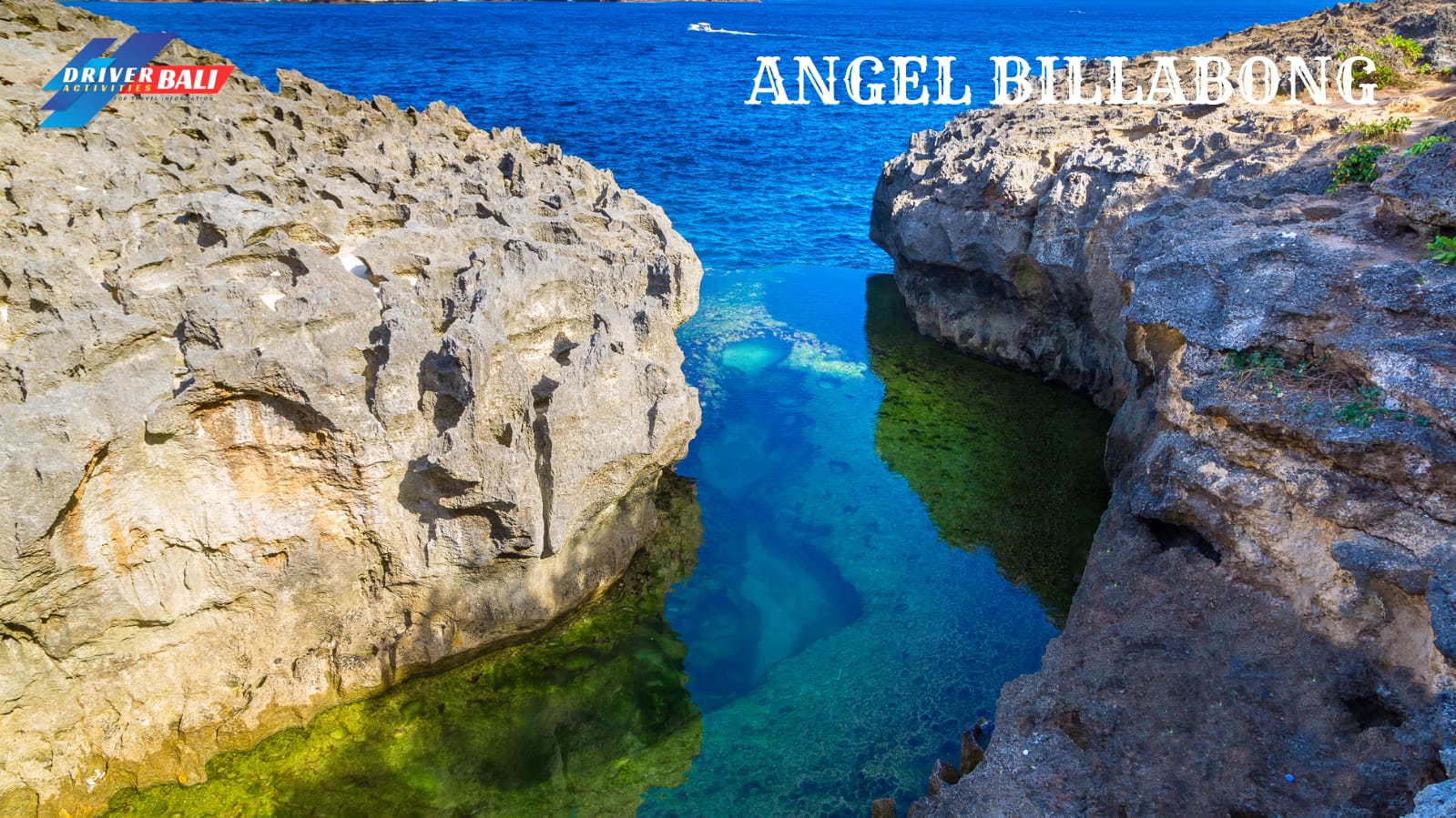 WhatsApp Image 2026-01-23 at 23.11.52 (2)