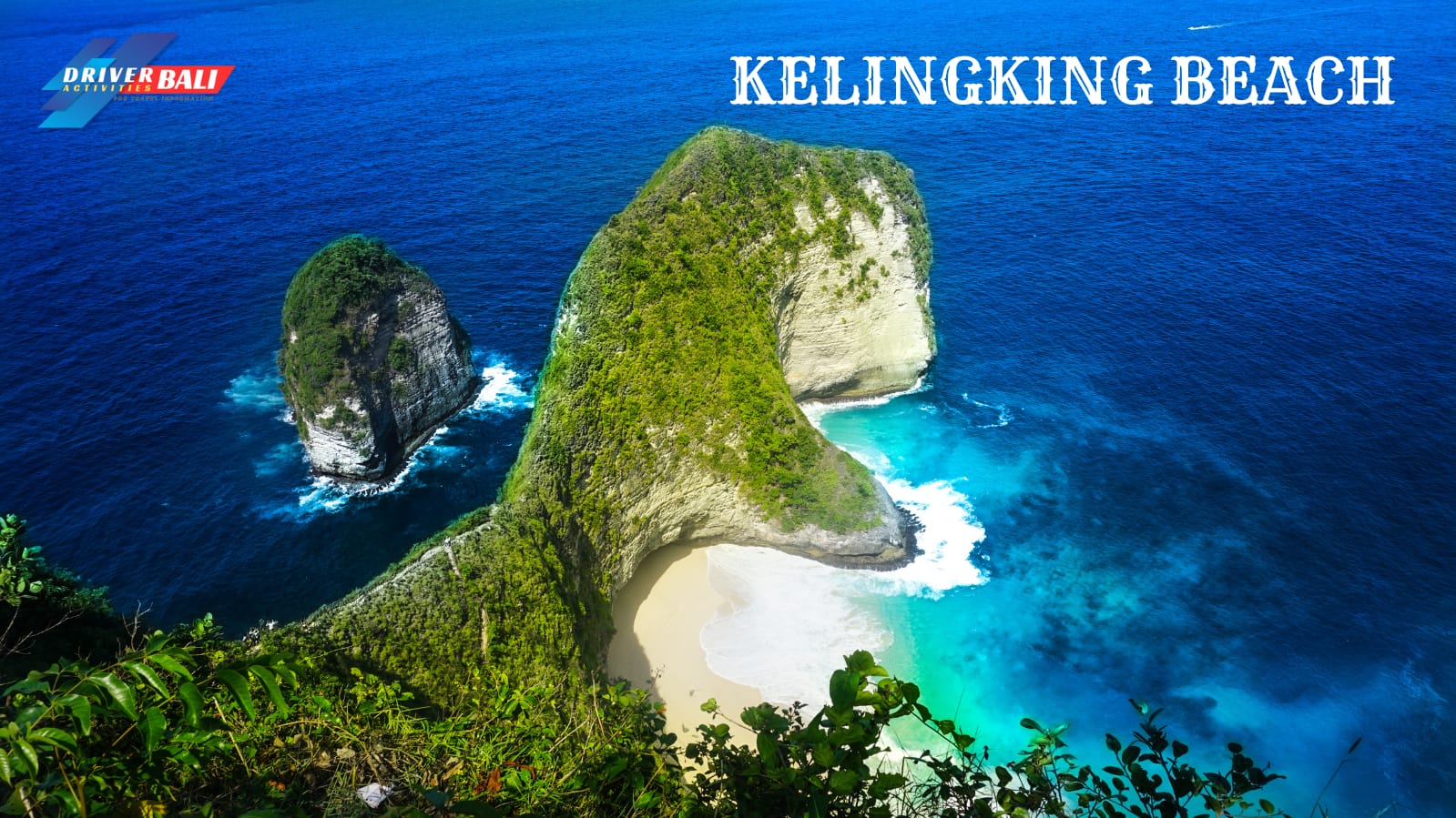 WhatsApp Image 2026-01-23 at 23.11.52